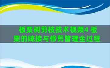 板栗树剪枝技术视频4 板栗的嫁接与修剪管理全过程